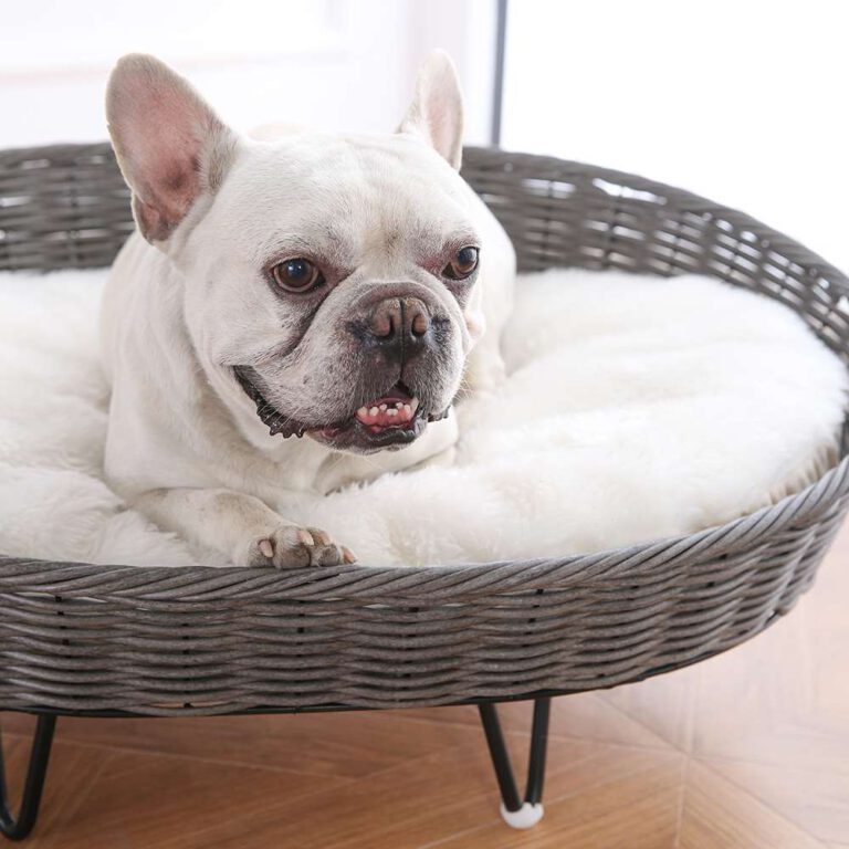 OHANA Elevated Round Ratten Pet bed OHANA PET FURNITURE